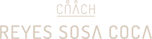 logo pie reyes sosa